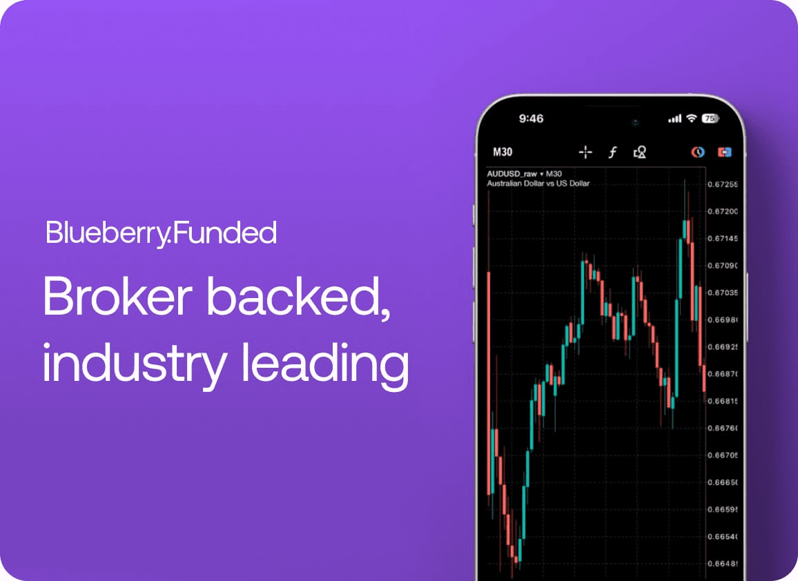 Blueberry Funded 131